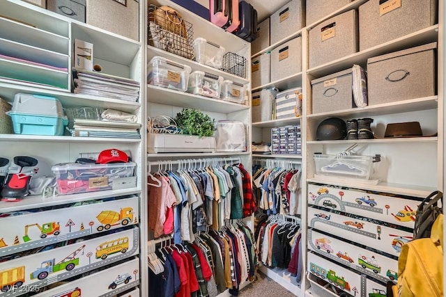 view of walk in closet