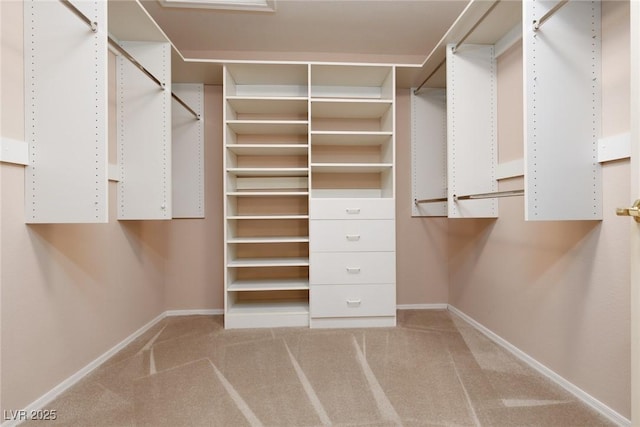 walk in closet with carpet flooring