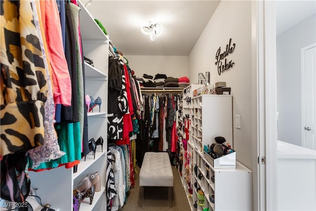 walk in closet featuring carpet