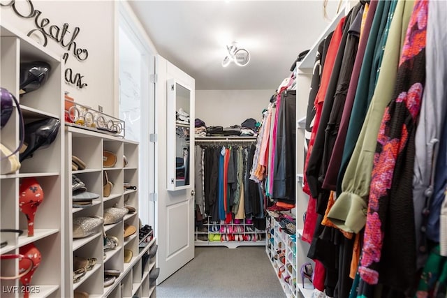 spacious closet featuring carpet