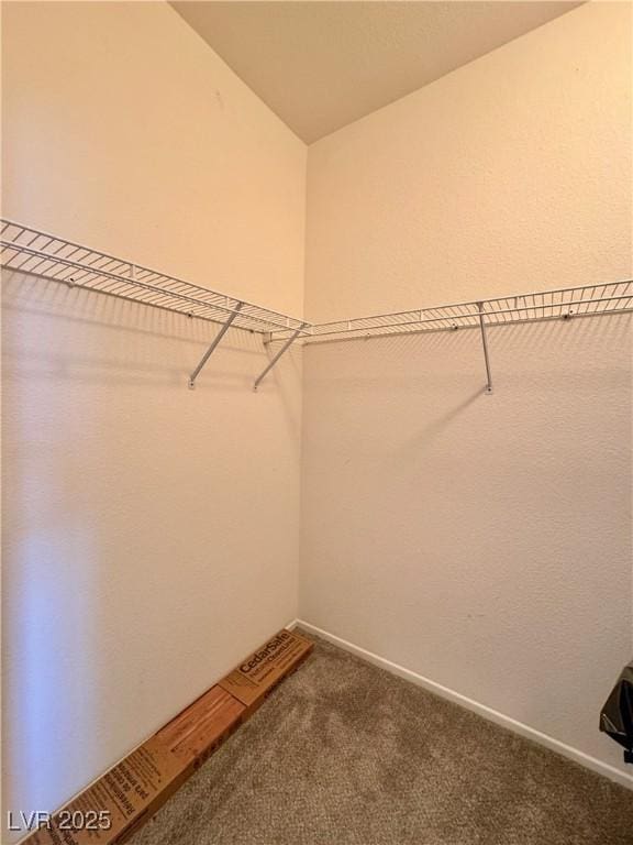 spacious closet with carpet floors