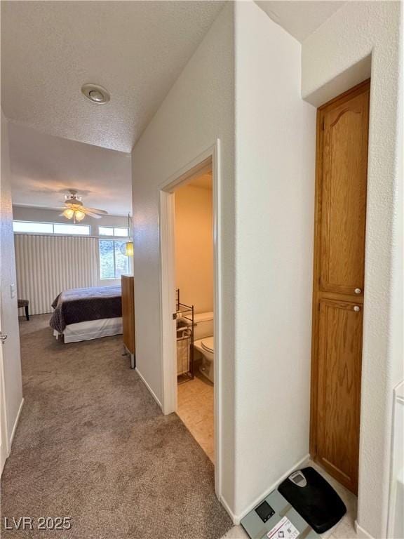 hall featuring light carpet