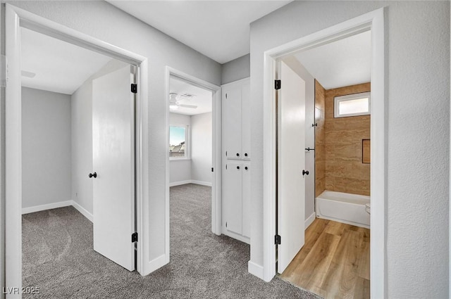 3791 El Camino Rd, Las Vegas, NV 89103 - hall with carpet flooring