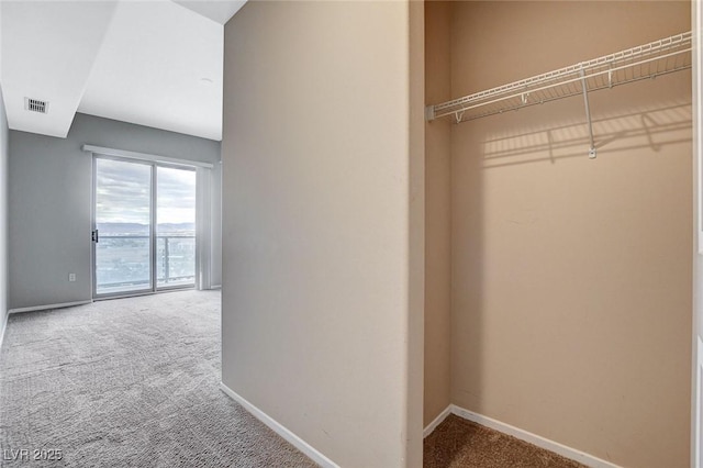 closet with visible vents