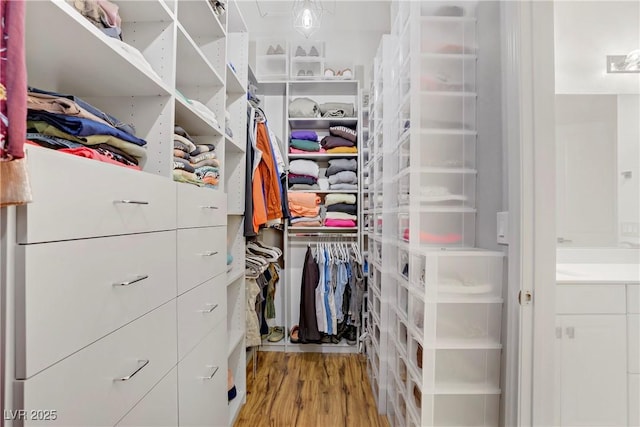 spacious closet with wood finished floors