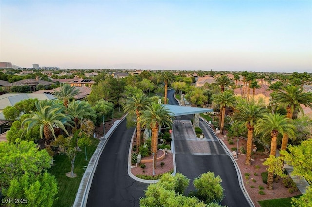 10969 Tranquil Waters Ct, Las Vegas, NV 89135 - aerial view
