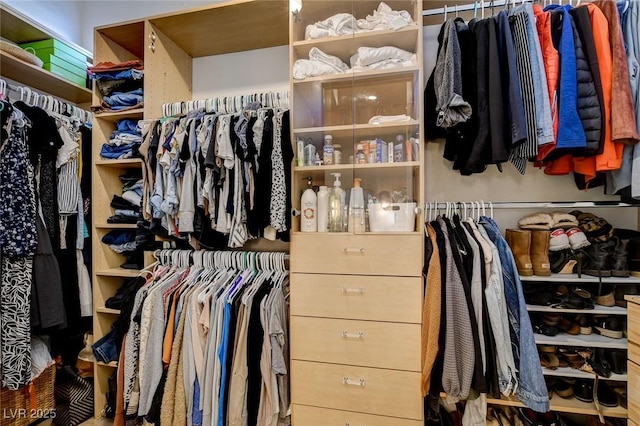 10969 Tranquil Waters Ct, Las Vegas, NV 89135 - view of spacious closet