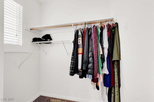 spacious closet with carpet