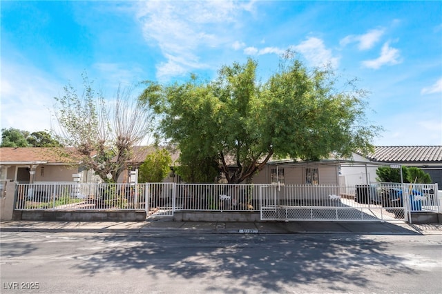 view of front of house with a fenced front yard and a gate