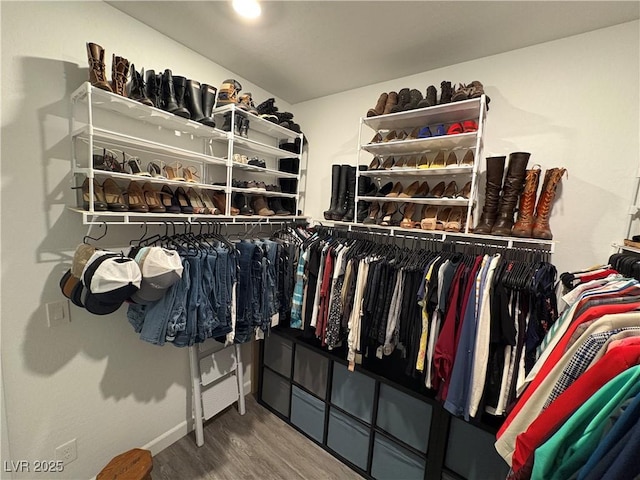 walk in closet with wood finished floors