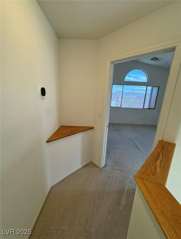 hallway with visible vents, carpet floors, and baseboards