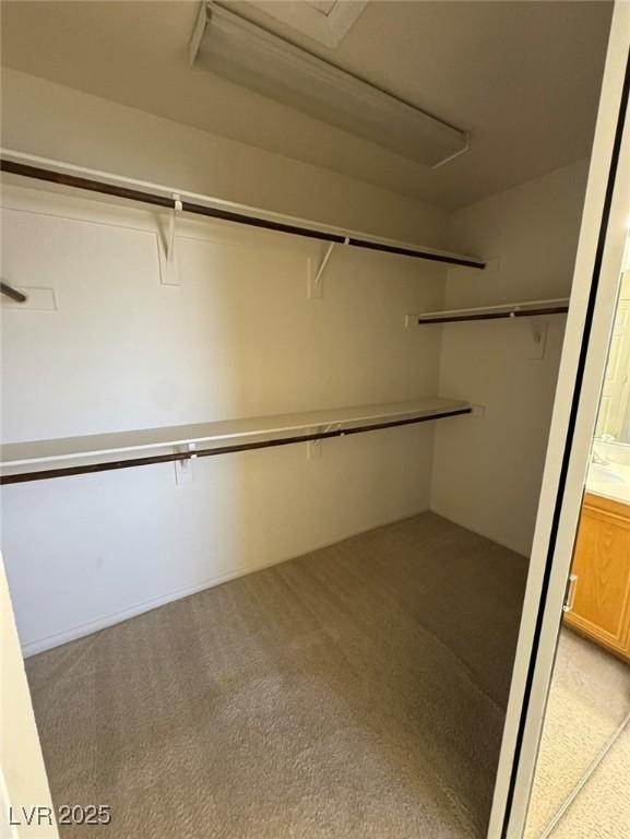 walk in closet with attic access and light colored carpet