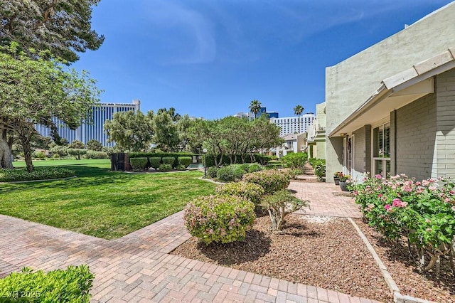 view of yard featuring a patio