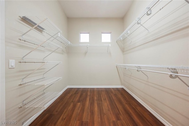 walk in closet featuring wood finished floors