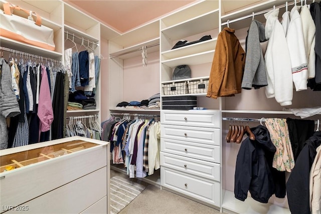 walk in closet featuring light carpet