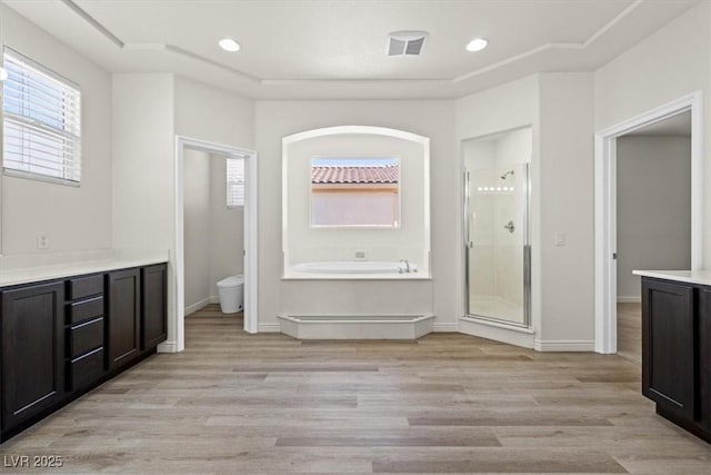 bathroom featuring a stall shower, vanity, wood finished floors, and a healthy amount of sunlight