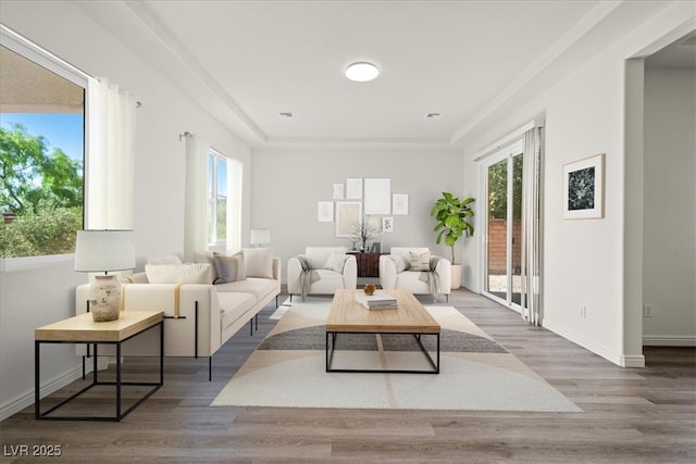 living room with baseboards, wood finished floors, and a wealth of natural light