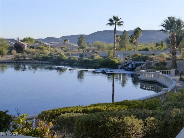 10547 Grazia Ave, Las Vegas, NV 89135 - photo 30