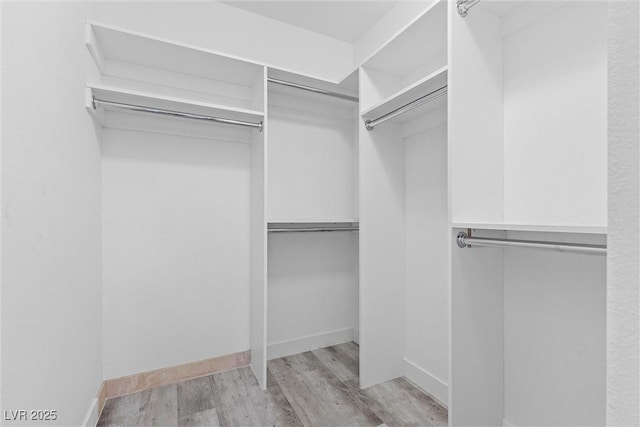 walk in closet with light wood-style floors