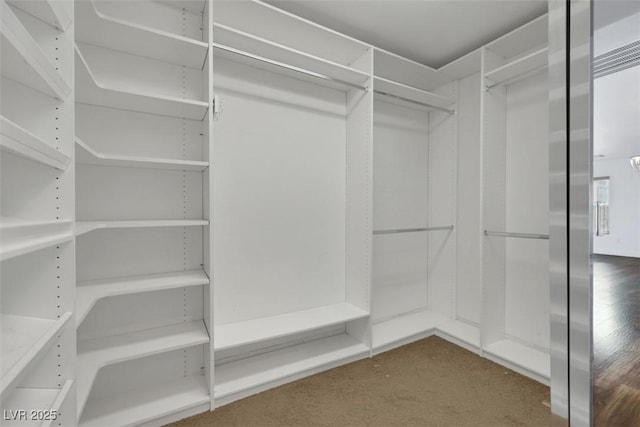 3217 Palladio Ave, North Las Vegas, NV 89031 - walk in closet with carpet