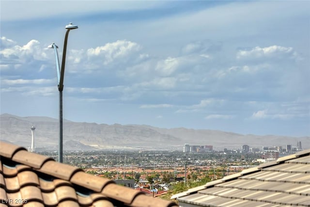 358 Badinerie St, Henderson, NV 89011 - photo 30