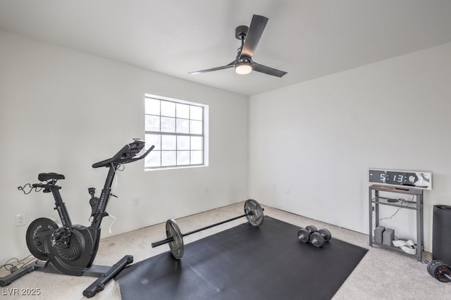 workout room featuring a ceiling fan and carpet flooring