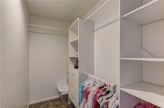 view of walk in closet