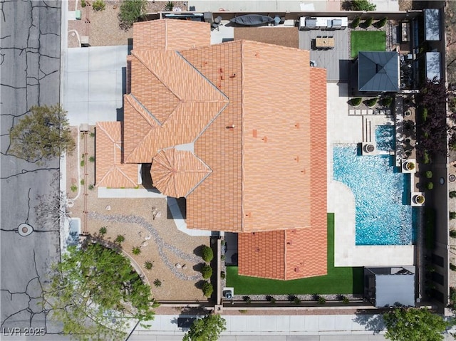 bird's eye view