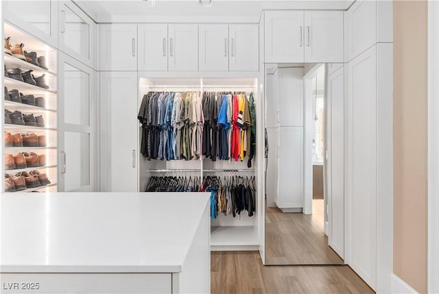 spacious closet featuring light wood-style flooring