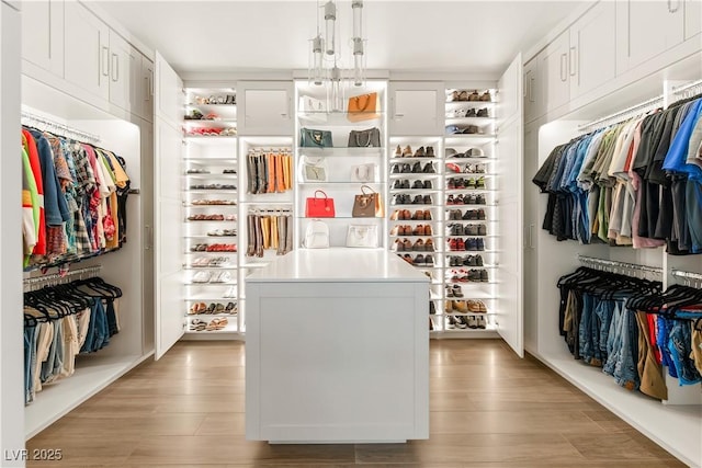 spacious closet with wood finished floors
