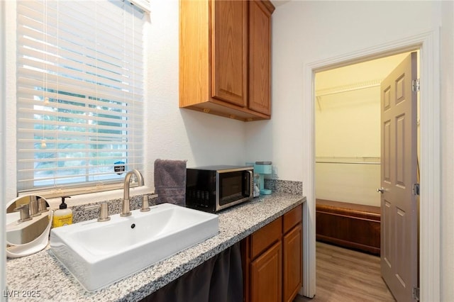 bathroom featuring wood finished floors and vanity