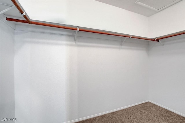 8236 Bermuda Beach Dr, Las Vegas, NV 89128 - spacious closet featuring carpet