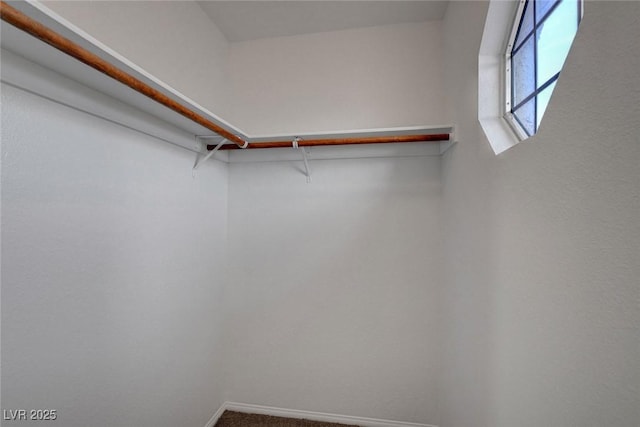 8236 Bermuda Beach Dr, Las Vegas, NV 89128 - spacious closet featuring carpet floors