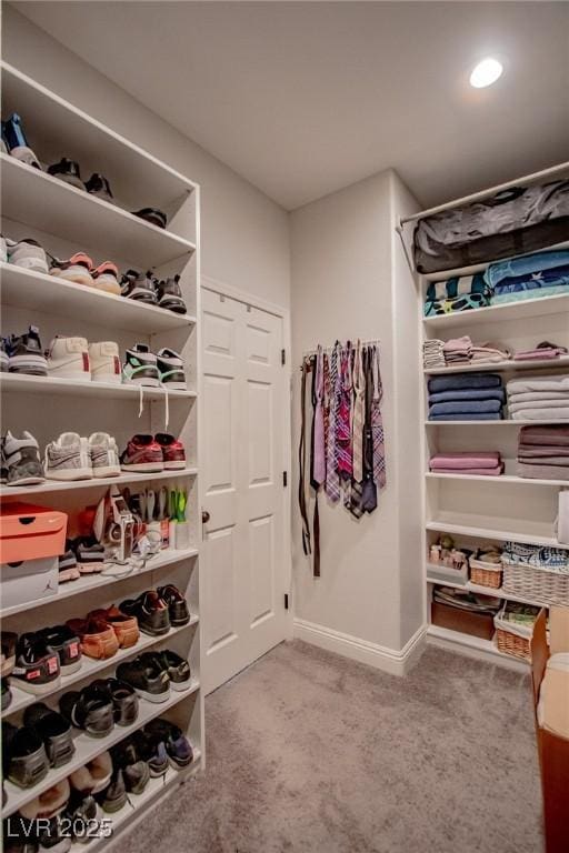 1125 Via Canale Dr, Henderson, NV 89011 - spacious closet with carpet floors