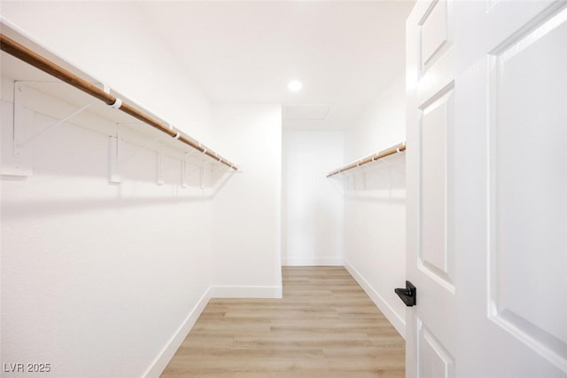 walk in closet with light wood finished floors