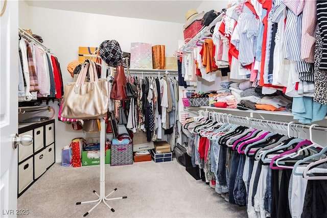 spacious closet featuring carpet floors