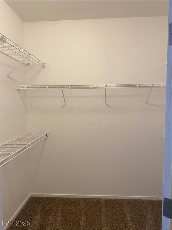 walk in closet with carpet flooring