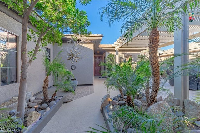 view of property exterior featuring stucco siding
