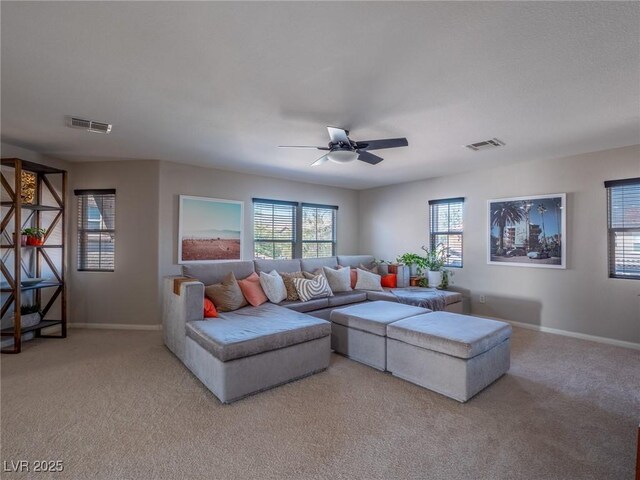 7125 Mountain Den Ave, Las Vegas, NV 89179 - photo 43