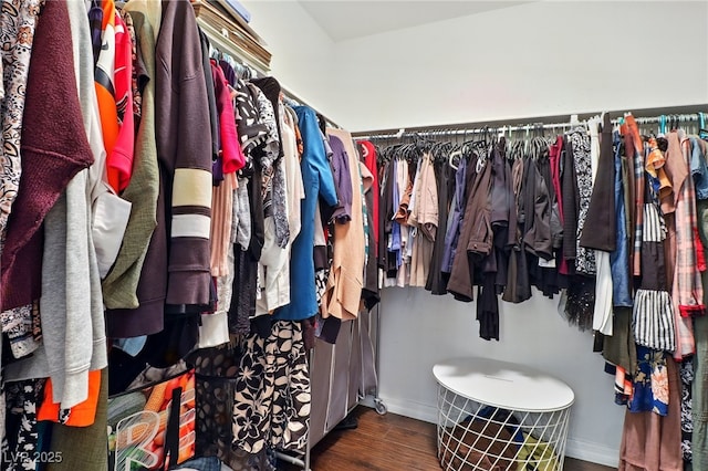 spacious closet featuring wood finished floors