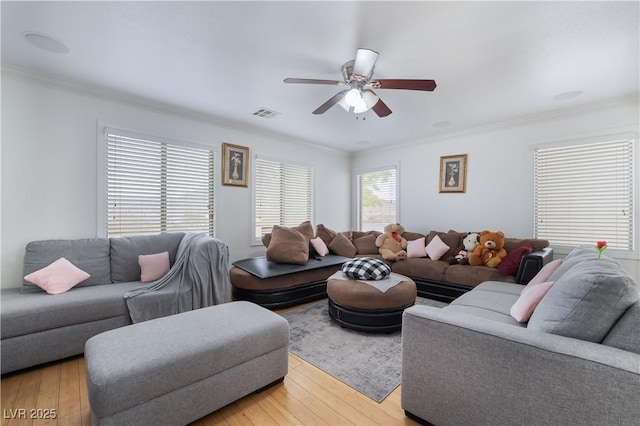 living room with crown molding, ceiling fan, light wood-style floors, and visible vents
