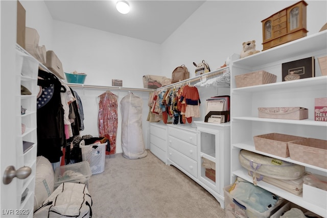 9590 Smiley Creek St, Las Vegas, NV 89178 - walk in closet featuring carpet floors