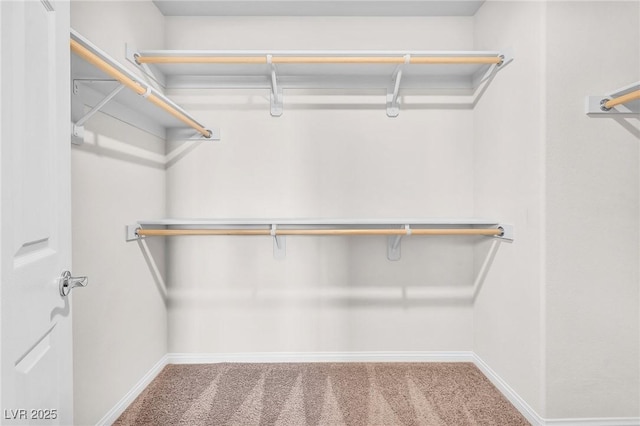 9198 Rolling Sky Dr, Las Vegas, NV 89178 - spacious closet with carpet flooring