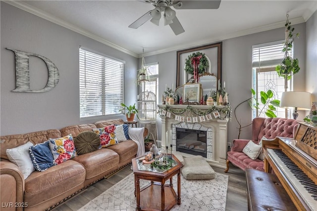 living room featuring wood finished floors, ceiling fan, crown molding, and a glass covered fireplace