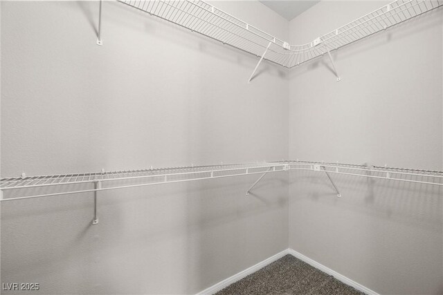10001 Peace Way Unit 2228, Las Vegas, NV 89147 - walk in closet with dark carpet