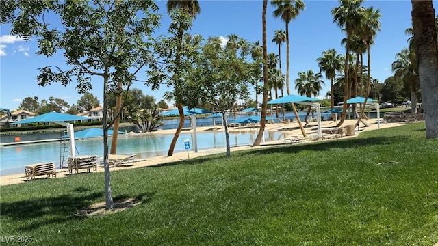 2708 Port Of Call Dr, Las Vegas, NV 89128 - community pool featuring a yard