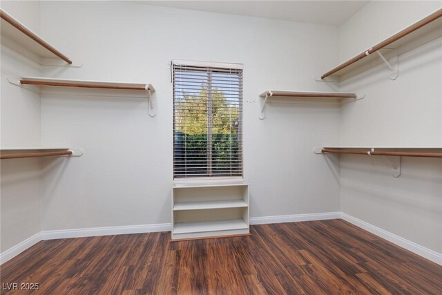 240 Jumping Springs Pl, Henderson, NV 89012 - spacious closet featuring wood finished floors