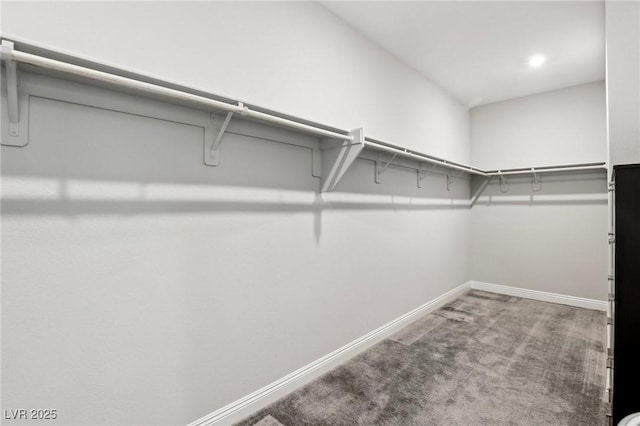 4630 Adonis Blue St, North Las Vegas, NV 89031 - walk in closet with carpet