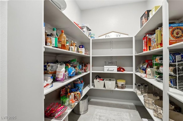 4630 Adonis Blue St, North Las Vegas, NV 89031 - view of storage area