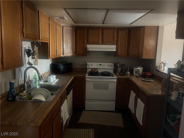 kitchen featuring brown cabinetry, electric range, under cabinet range hood, and a sink